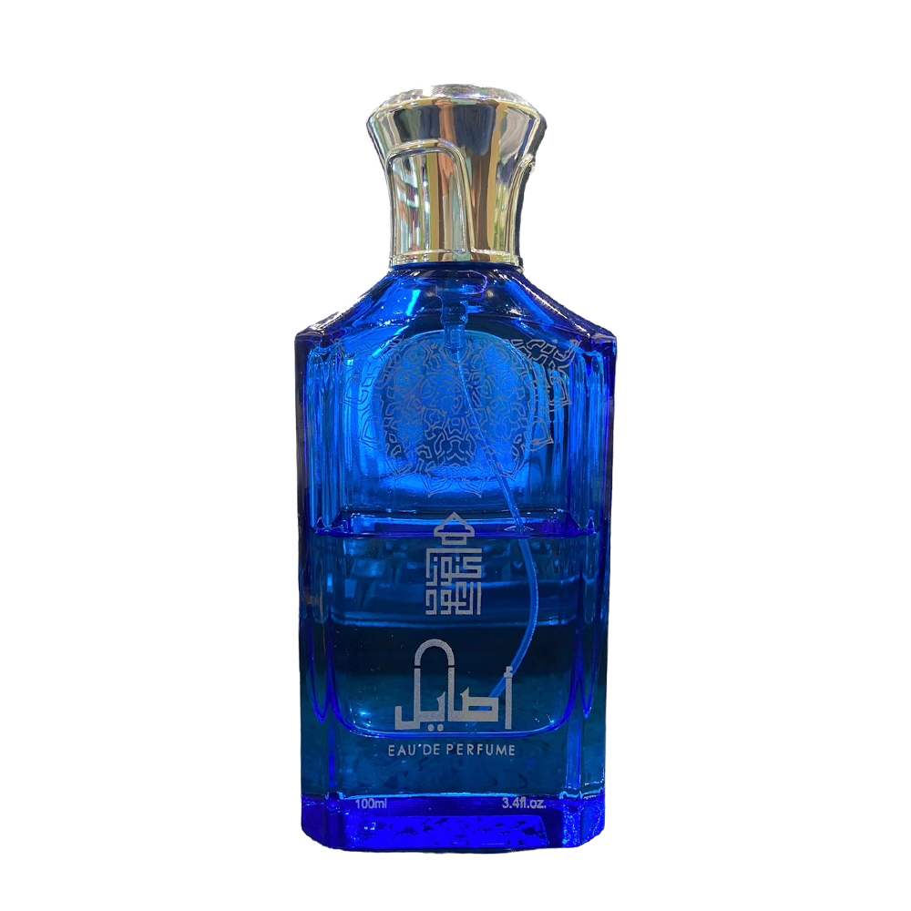Treasures of Oud Asayel Perfume 100ml